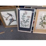 5 BOTANICAL PRINTS & 3 OF BIRDS