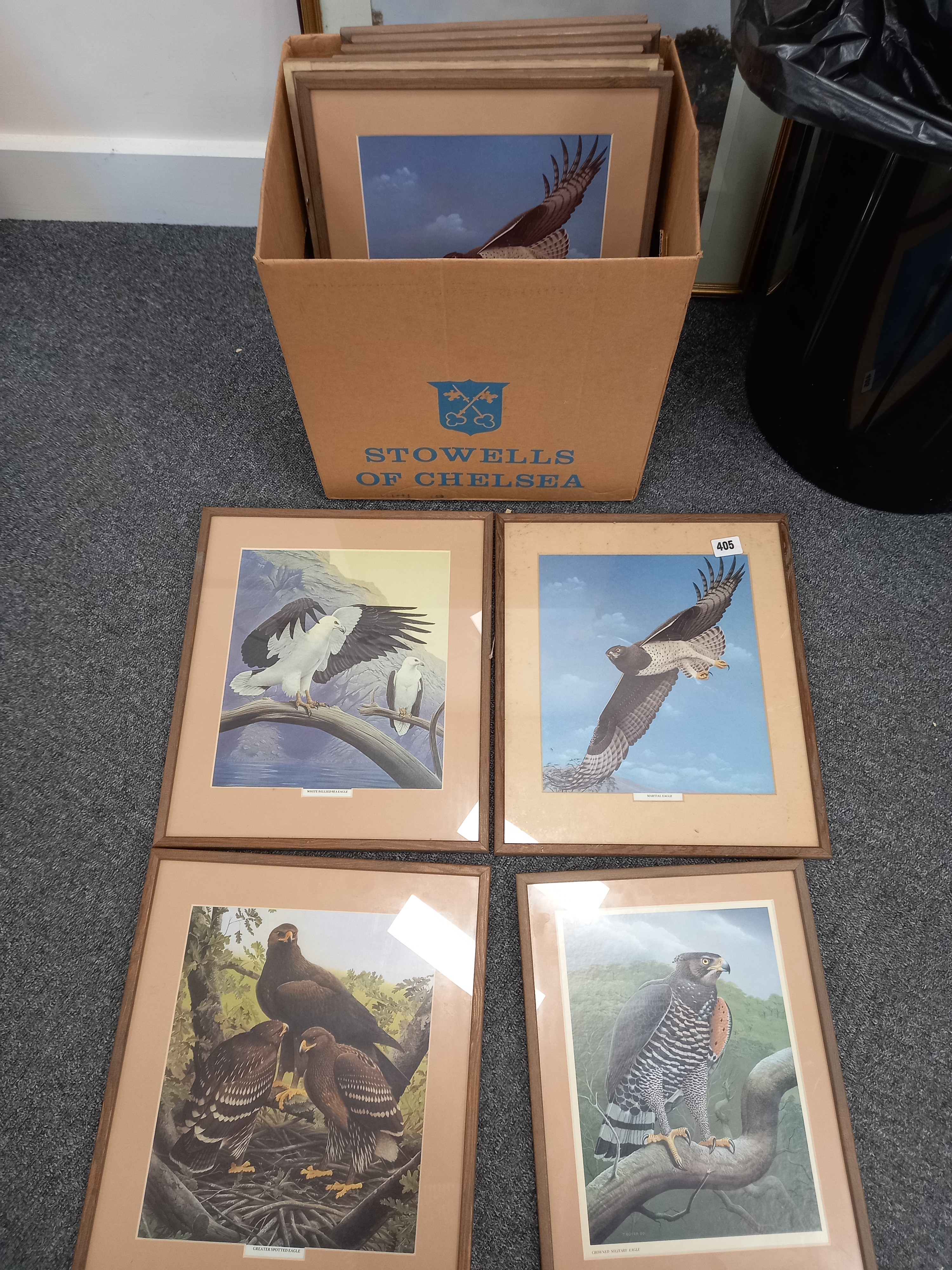 QUANTITY OF BIRD PRINTS