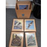 QUANTITY OF BIRD PRINTS