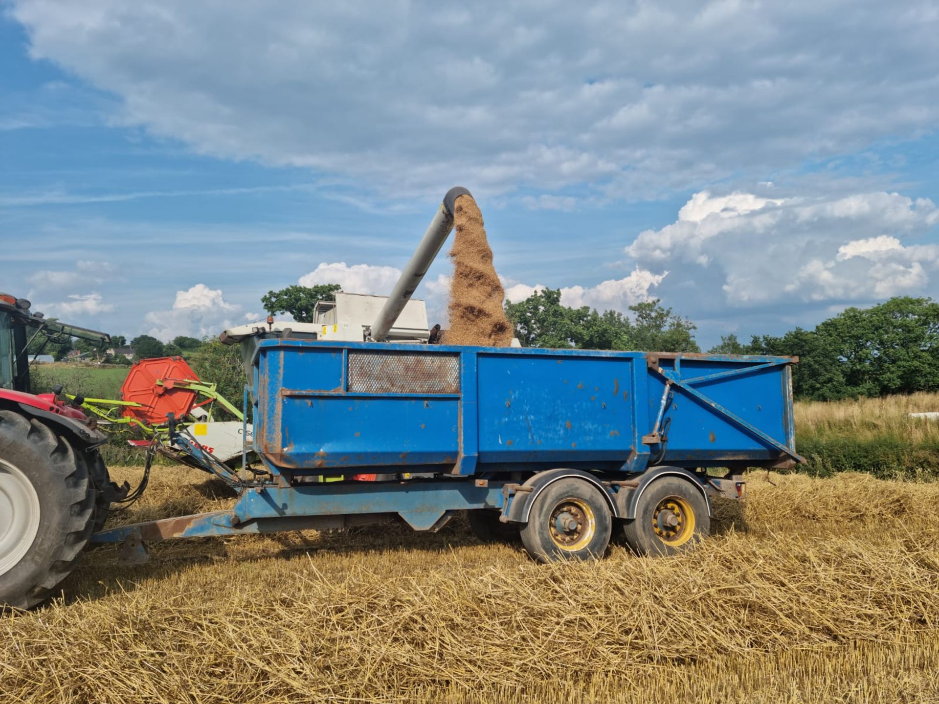 BUNNING 14T TRAILER - Image 5 of 9