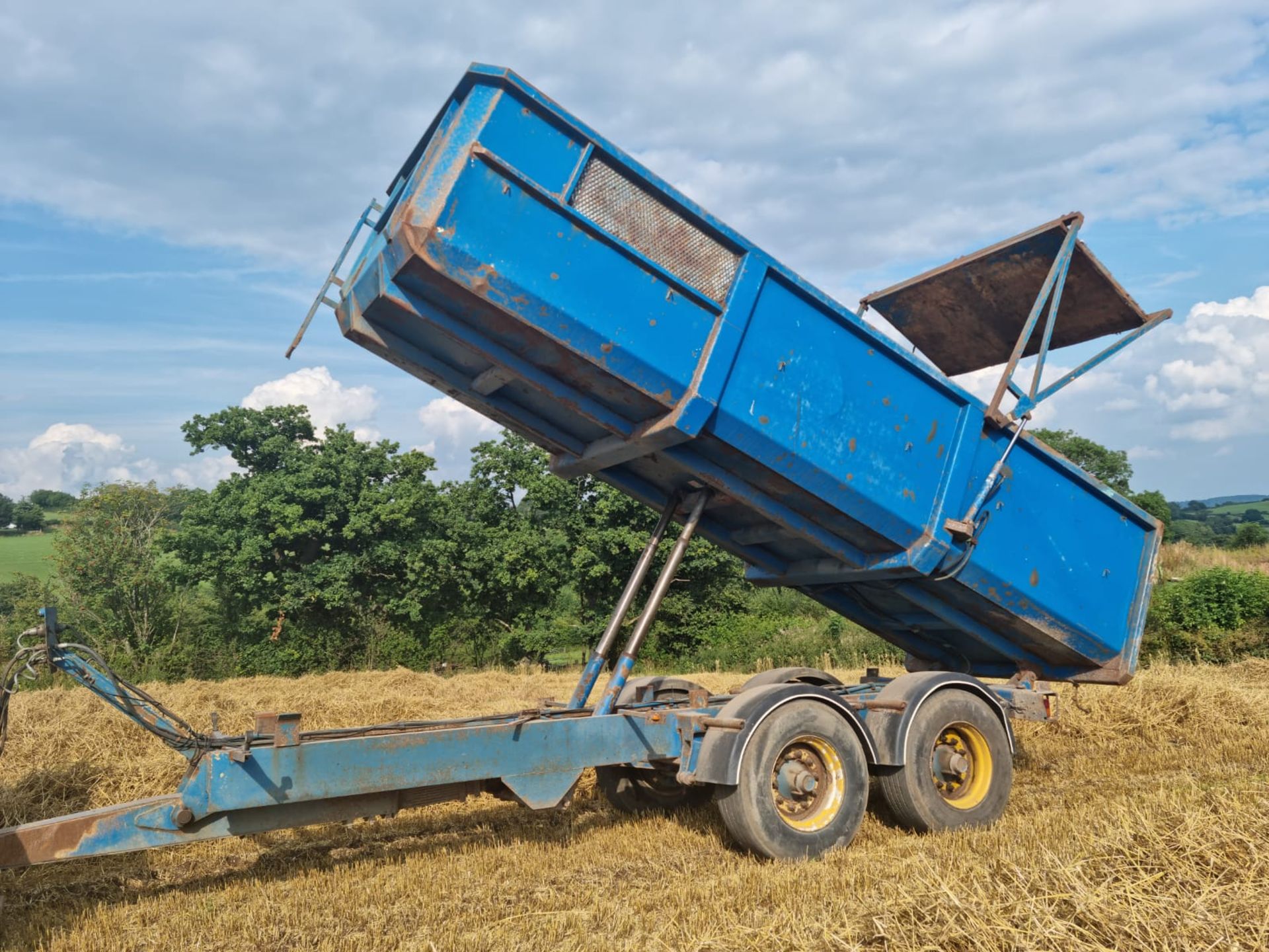 BUNNING 14T TRAILER - Image 3 of 9