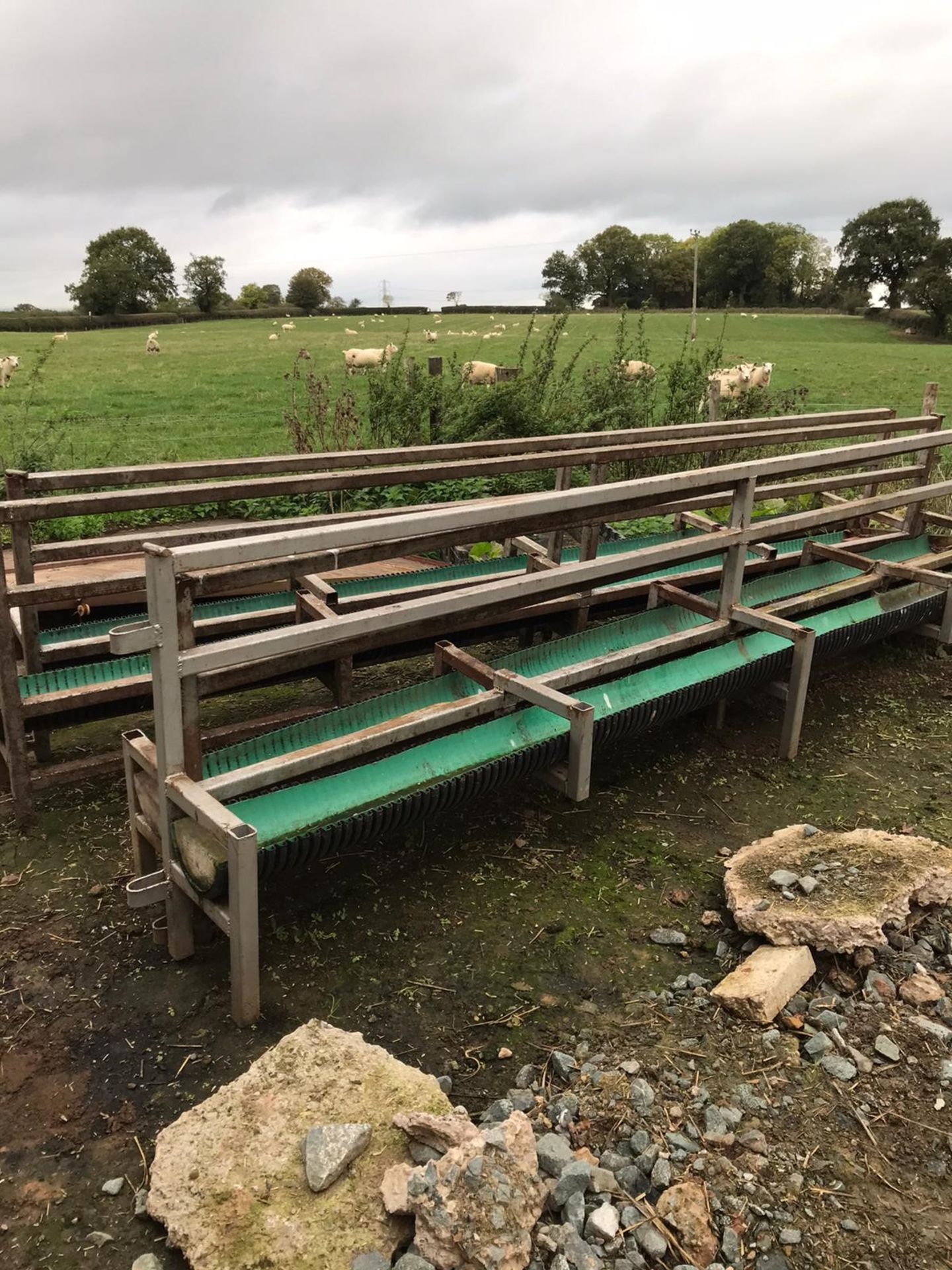 4sheep calf barriers 15 foot long - Image 4 of 4