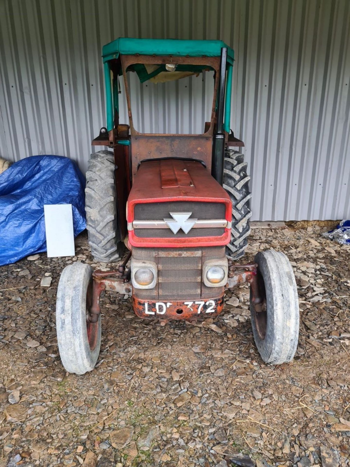 MF 135 TRACTOR - Image 3 of 5