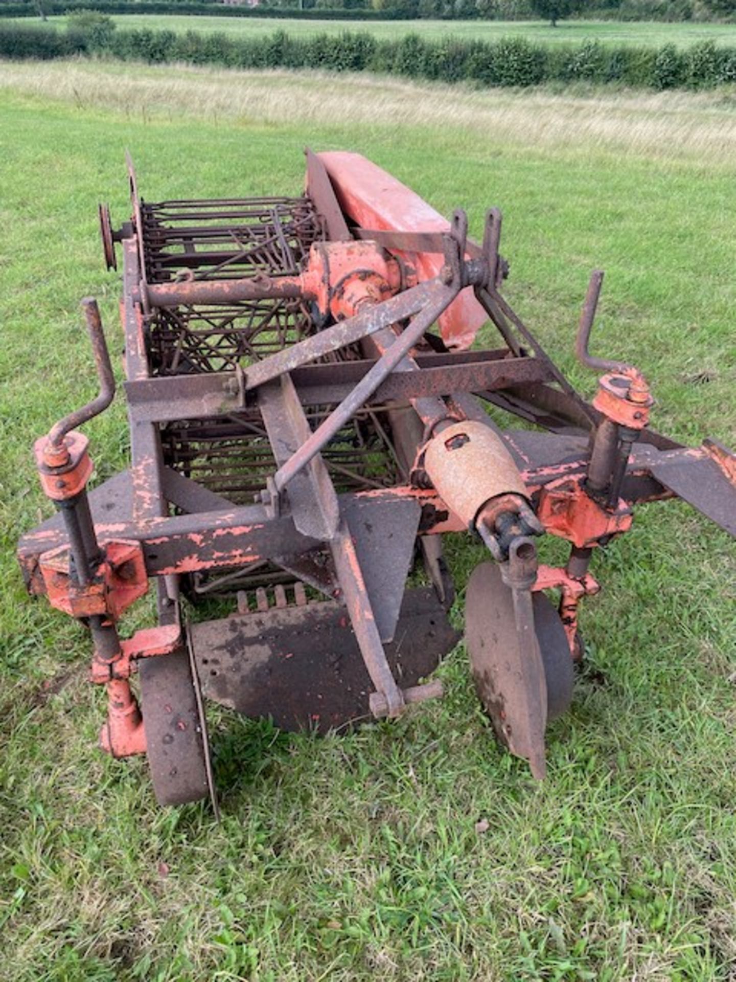 RANSOMES POTATO DIGGER - Image 2 of 5