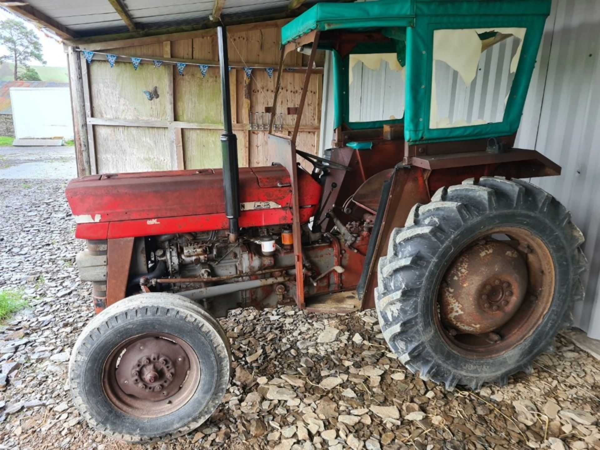 MF 135 TRACTOR