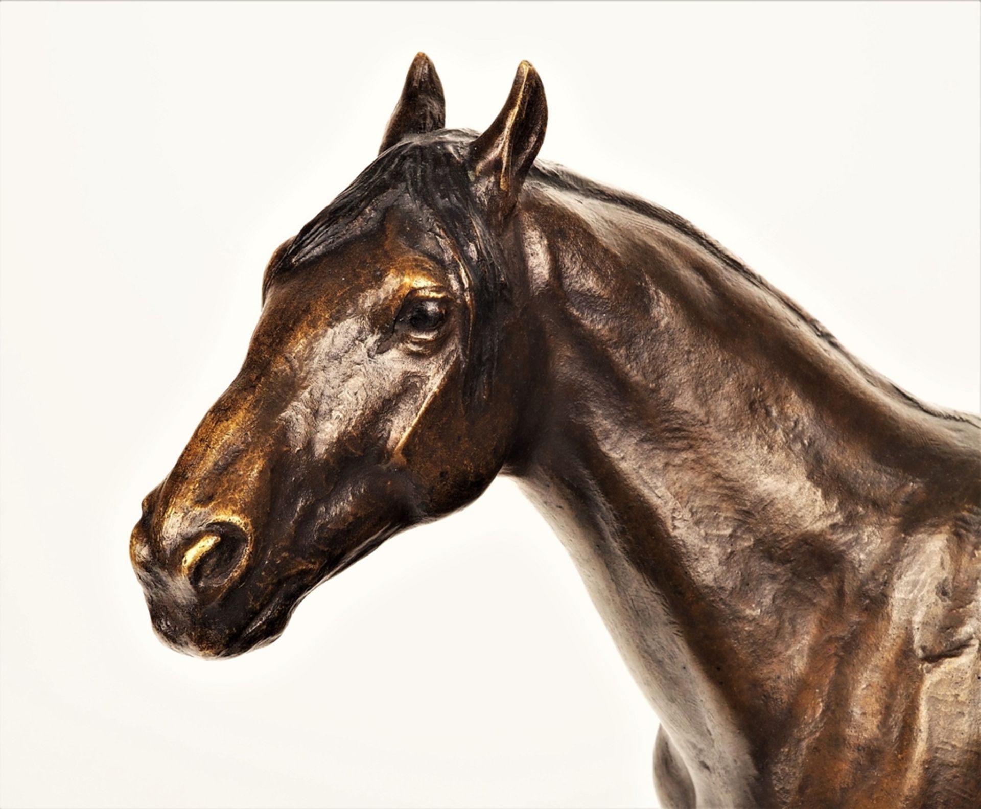 Albert Hinrich Hussmann (1874, Cuxhaven - 1946, Berlin) - Standing Horse - Image 4 of 10