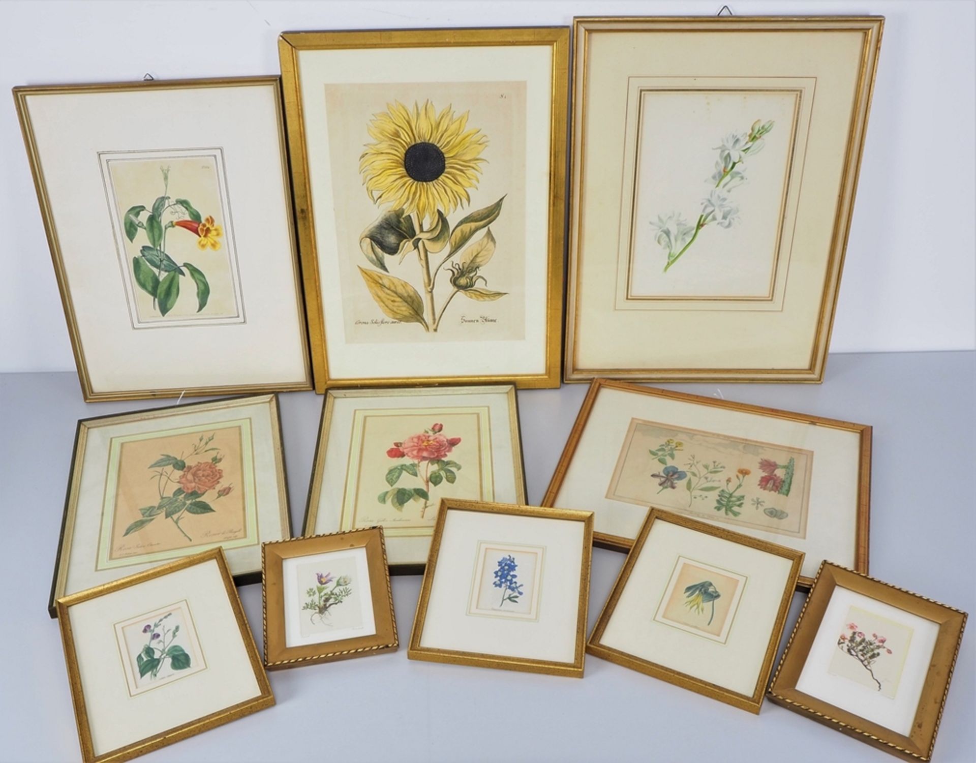 Mixed lot of colored engravings and watercolor flowers, 7 pieces
