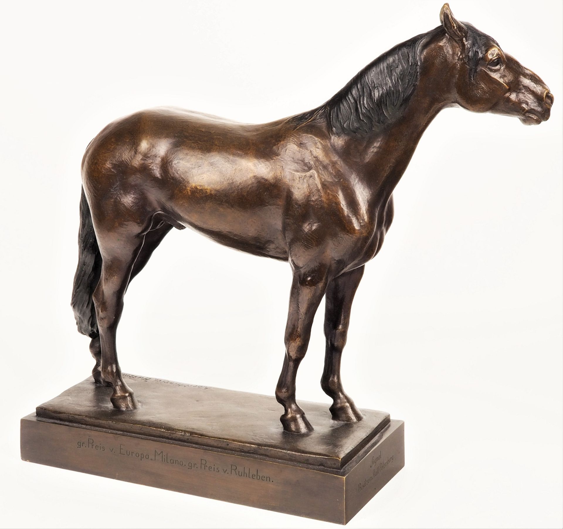 Albert Hinrich Hussmann (1874, Cuxhaven - 1946, Berlin) - Standing Horse - Image 2 of 10