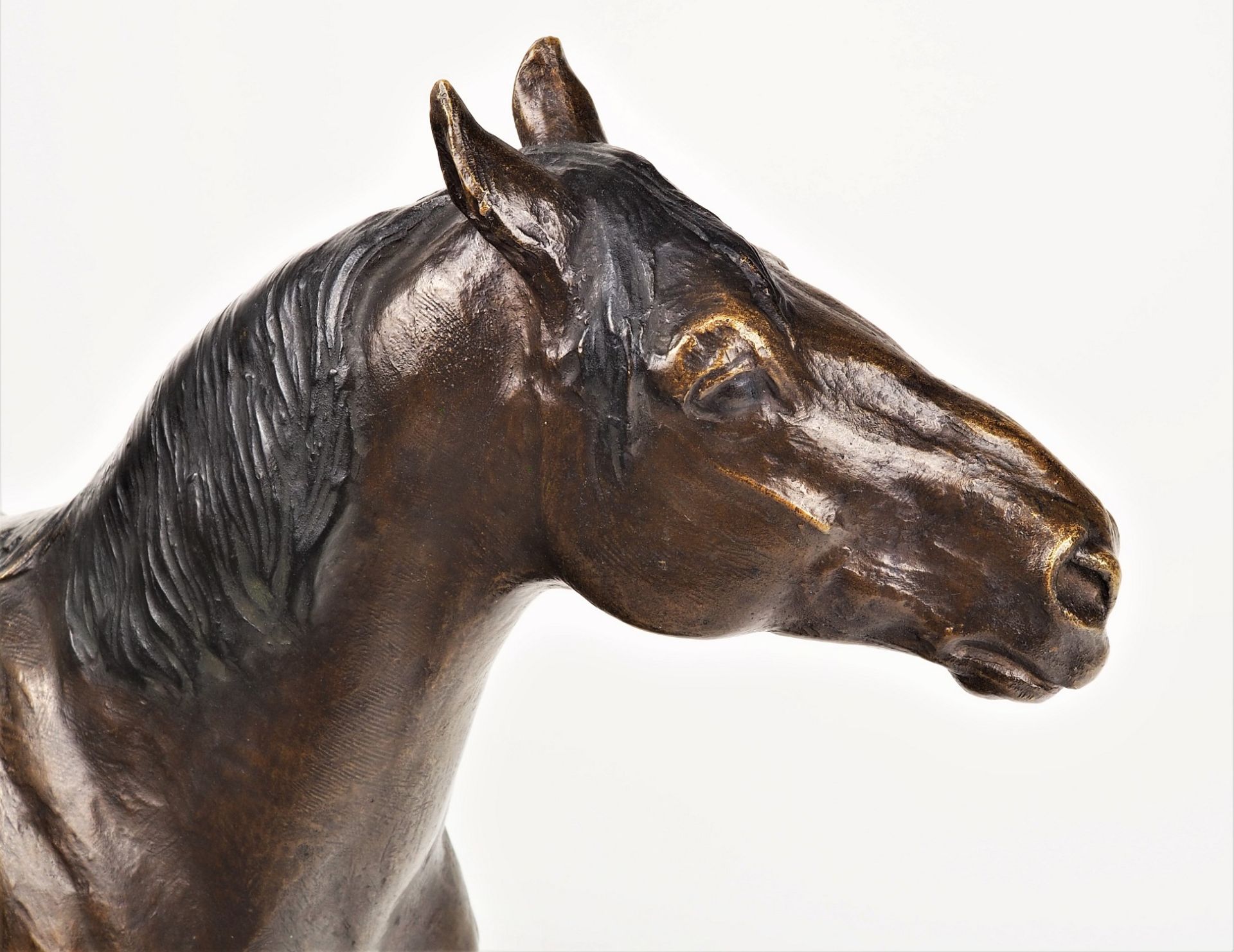 Albert Hinrich Hussmann (1874, Cuxhaven - 1946, Berlin) - Standing Horse - Image 5 of 10