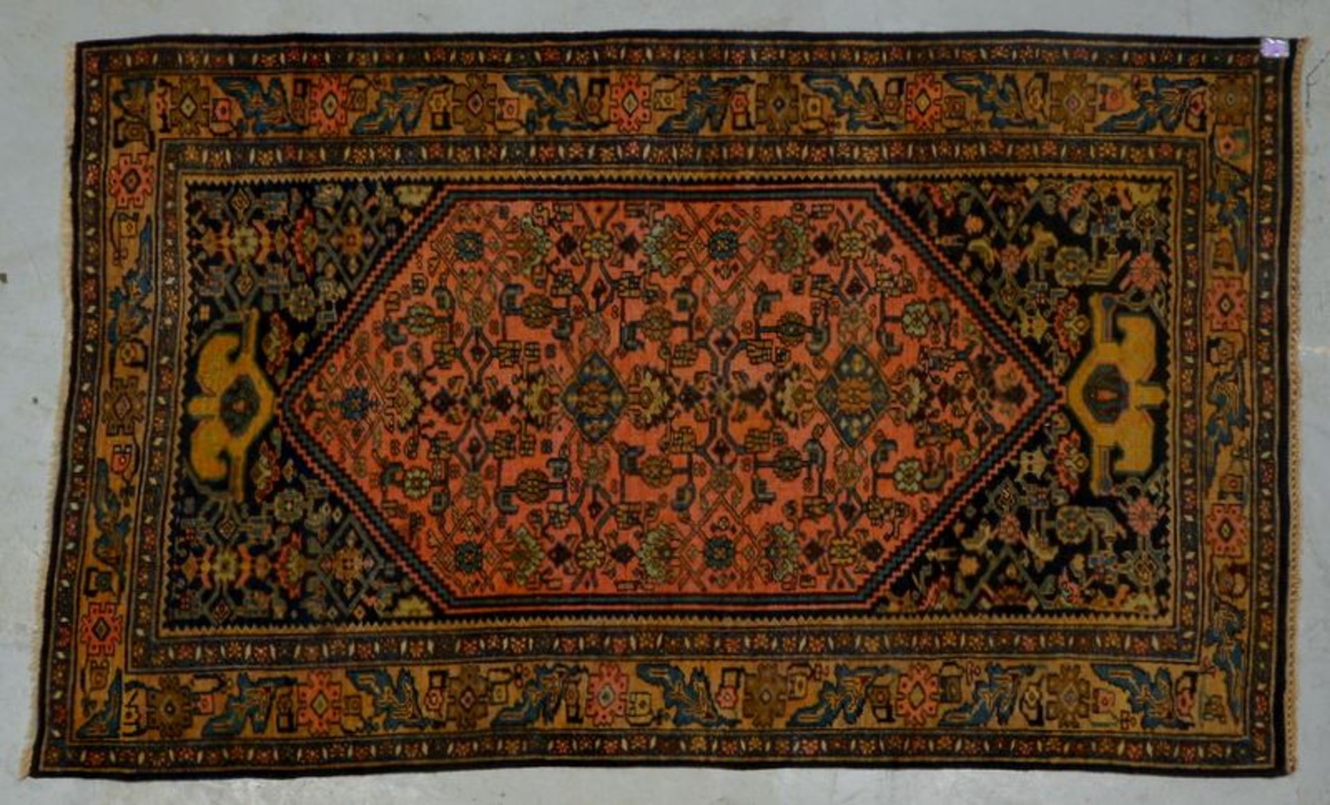 Antiker Bidjar, mit Ankermuster, Bord&uuml;re mit floralen Motiven (&#039;Traubenbl&auml;tter&#039;)