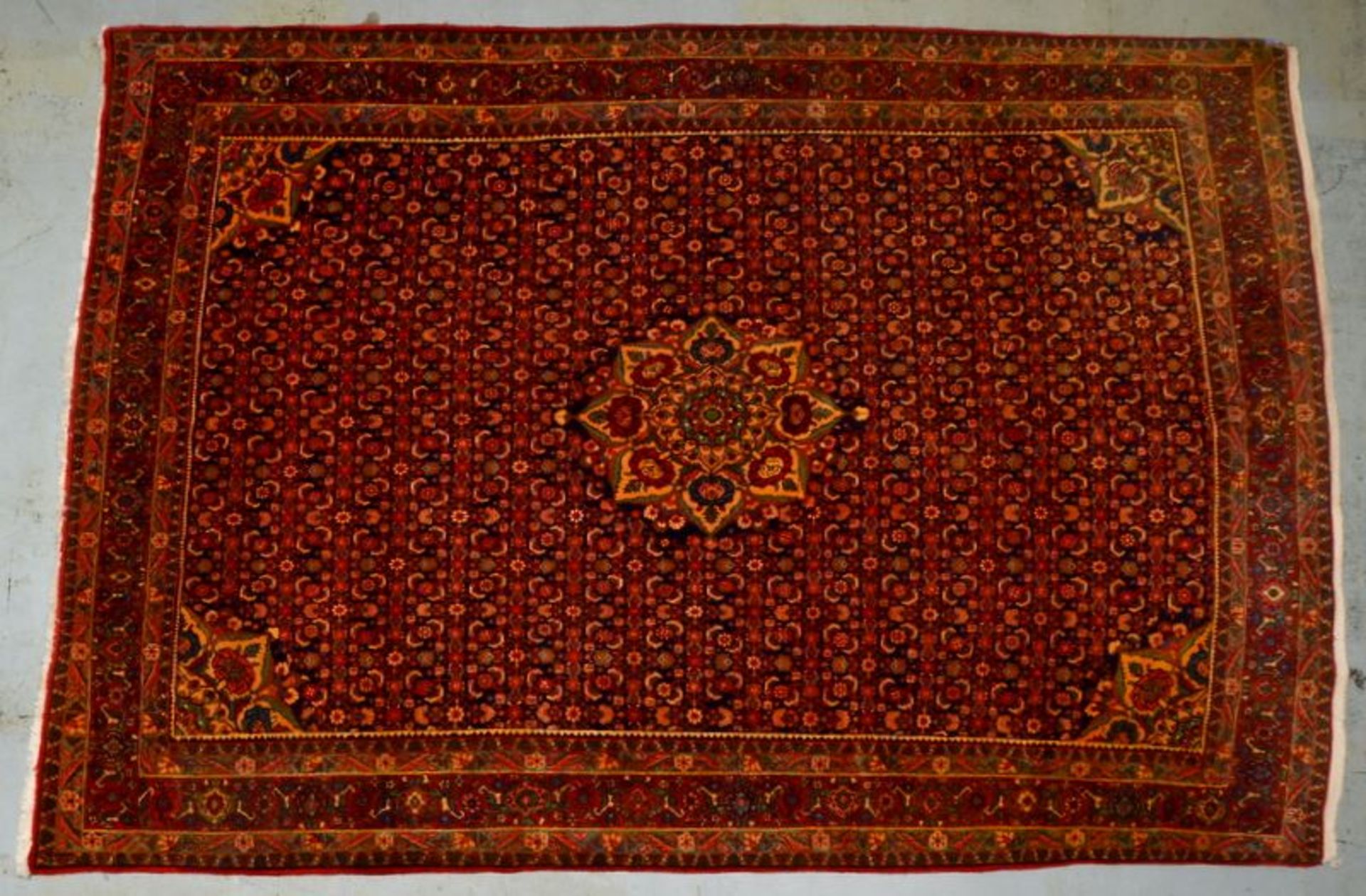 Bidjar, Herati-Muster, mit Rosenmedaillon, hochflorig, in gutem Zustand, wohnfertig (gechlort gewasc