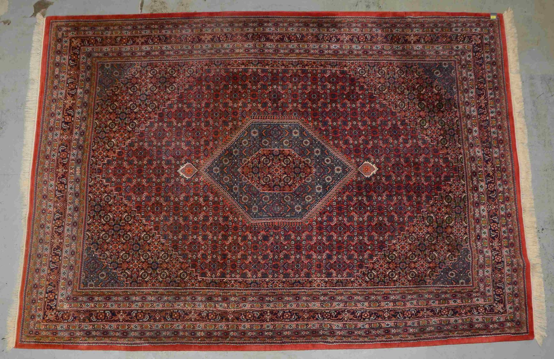 Indo-Bidjar, ringsum komplett, hochflorig; Ma&szlig;e 355 x 248 cm