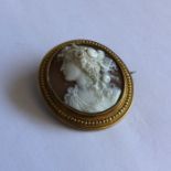 A Victorian shell cameo depicting a lady's head in