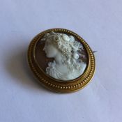 A Victorian shell cameo depicting a lady's head in