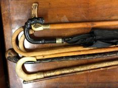 A group of old walking sticks and canes. Est. £20