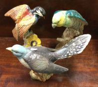 Three Beswick figures of birds in bright colours.