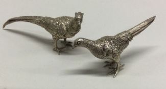 A good pair of silver pheasants with textured bodi