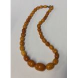 A graduated amber bead necklace with ring clasp. A