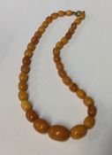 A graduated amber bead necklace with ring clasp. A