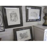 3 framed and glazed animal drawings