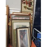 Collection of various framed and glazed pictures and prints