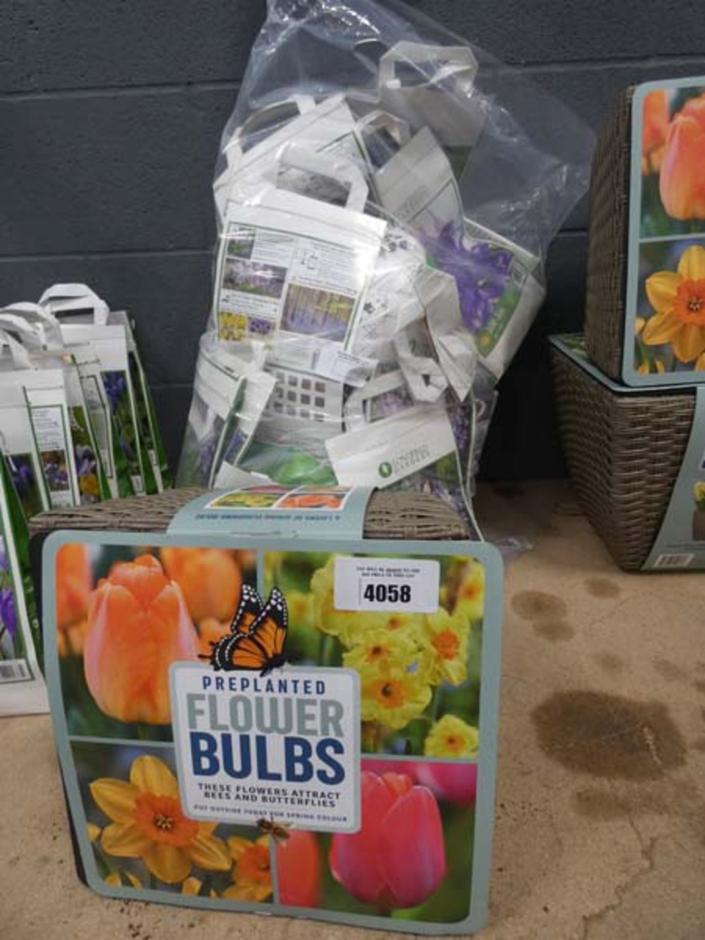 Rattan style pot of flowering bulbs and large bag of other bulbs