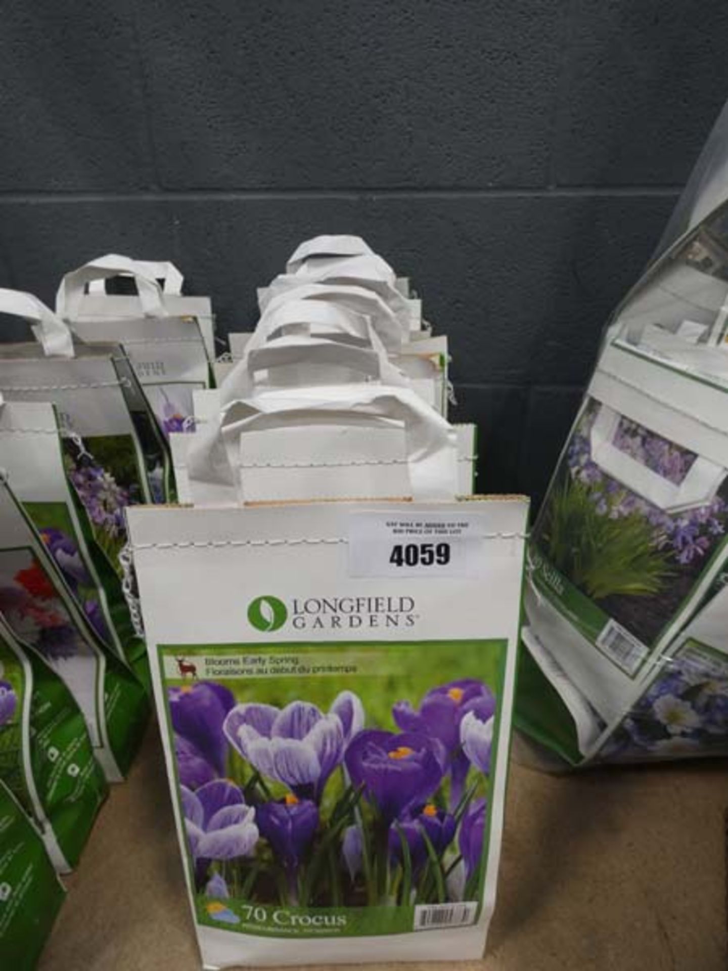 8 bags of flowering bulbs