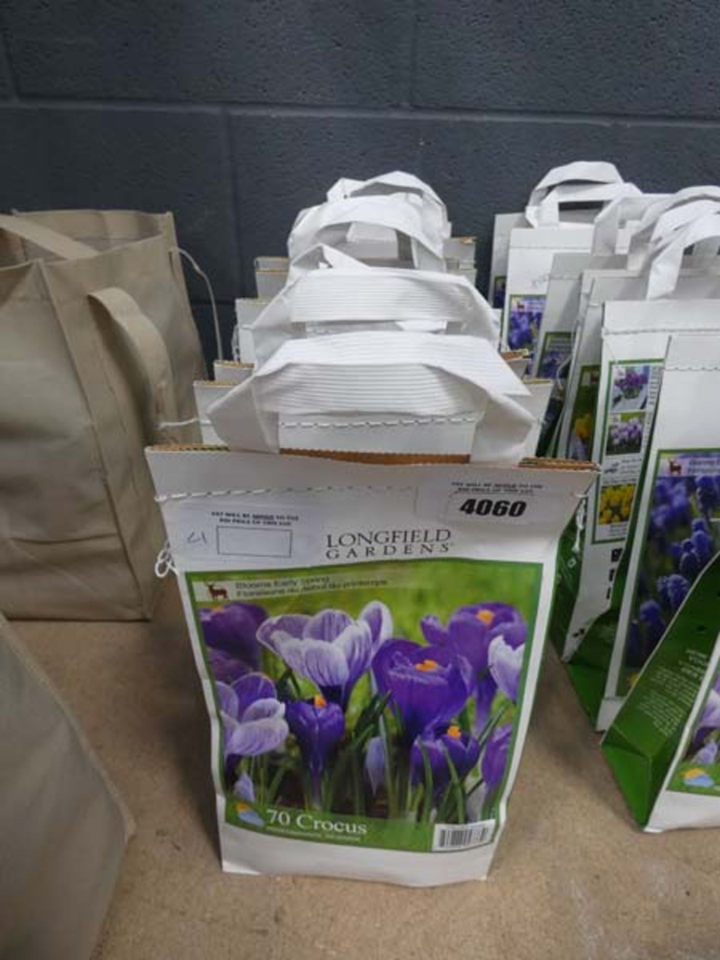 8 bags of flowering bulbs