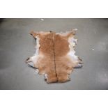 (13) Goat hide, approx. 120cm x 100cm