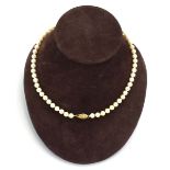 A single strand continuous cultured pearl necklace with yellow metal clasp, pearl d. 6 mm, l. 44.