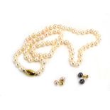 A single strand cultured pearl necklace with 9ct yellow gold clasp, l. 61 cm, average pearl d.