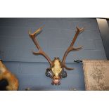 (6) Pair of mounted antlers