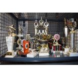 Cage containing a quantity of sporting trophies