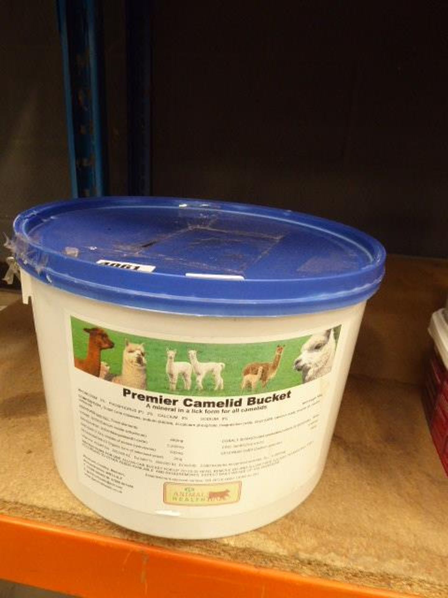 Tub of premier mineral lick for camelids