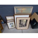 Stack of pictures and prints, including: dog portraits, print of a bar interior and an owl, together