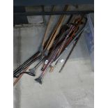 Quantity of walking sticks