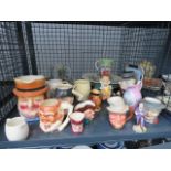 Cage containing character jugs, blue and white china, collector's plates etc.