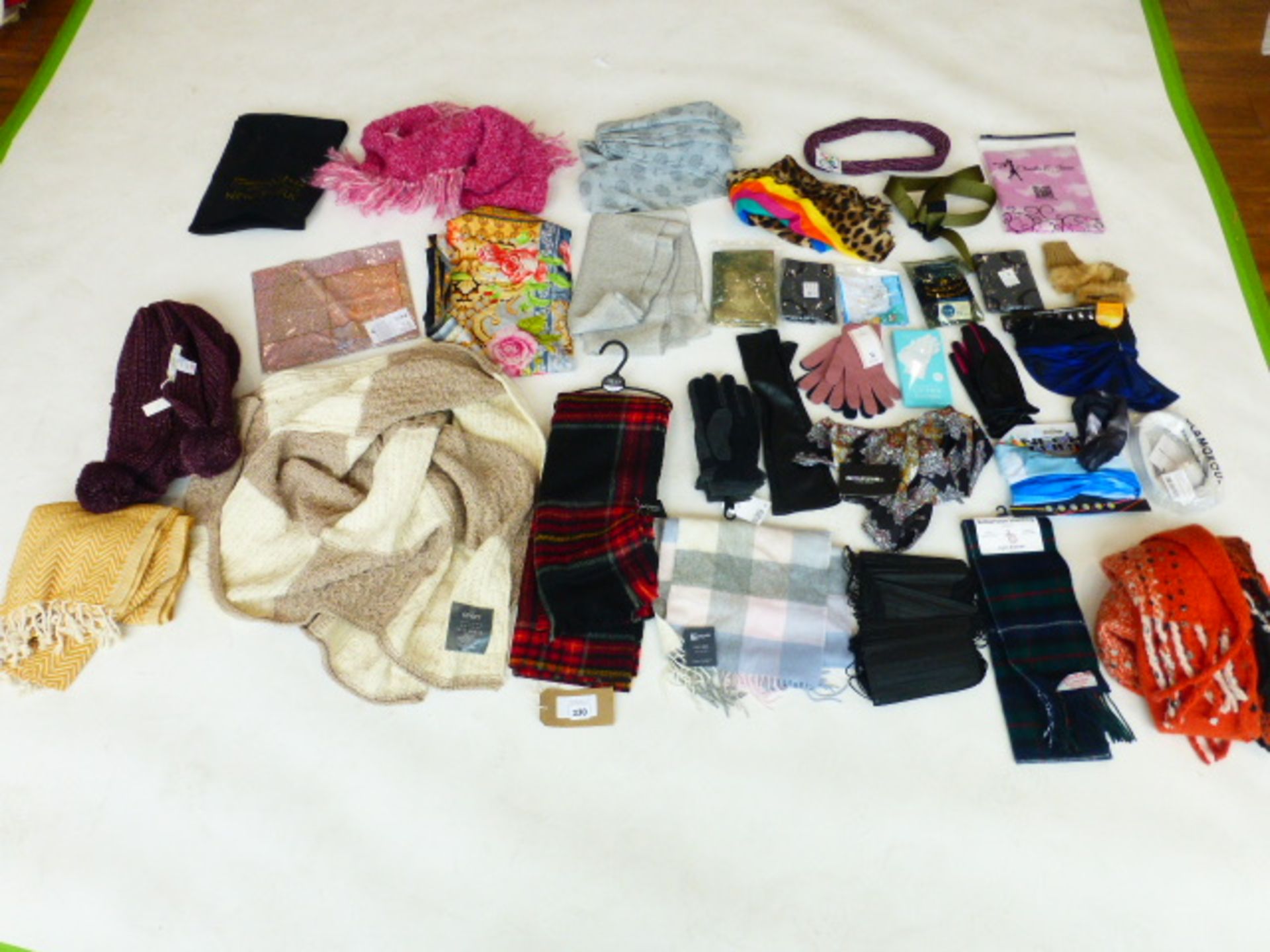 Selection of accessories to include gloves, scarfs, belts, etc