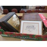 (20) Box containing quantity of comical dog prints plus cricket prints Dog prints in good condition,