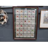 Cigarette card picture with national flags