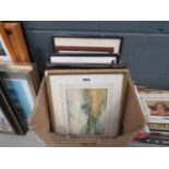 Box containing quantity of watercolours and engravings inc. coastal scenes, rowing boats by lake,