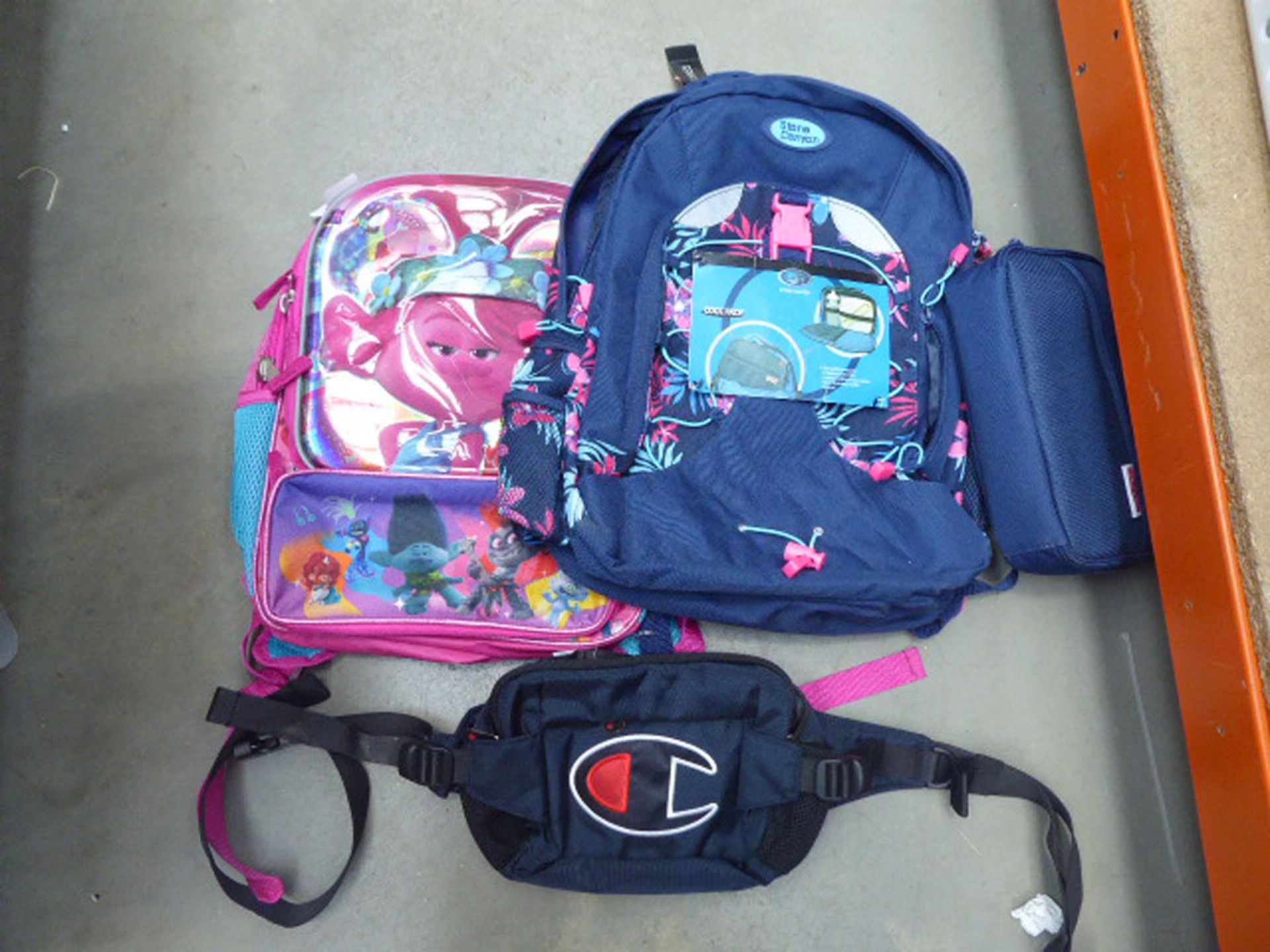 Mixed bags including girl's backpack, Champion waist bag etc All items have light use.