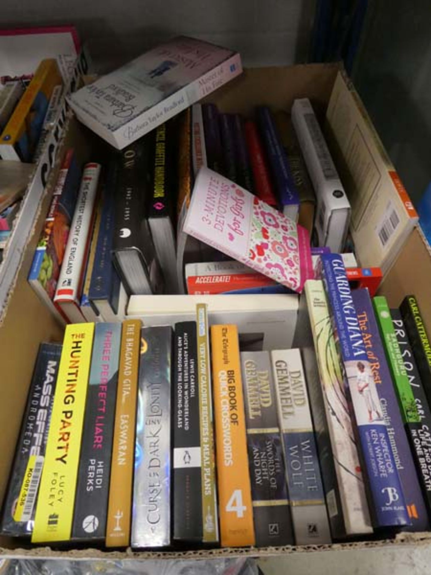 Box containing various hard back and paper back books mostly novels to inc. David Jemel