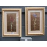 (1) Pair of botanical prints by Gloria Eriksen