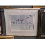 Peter Scott wild fowl print