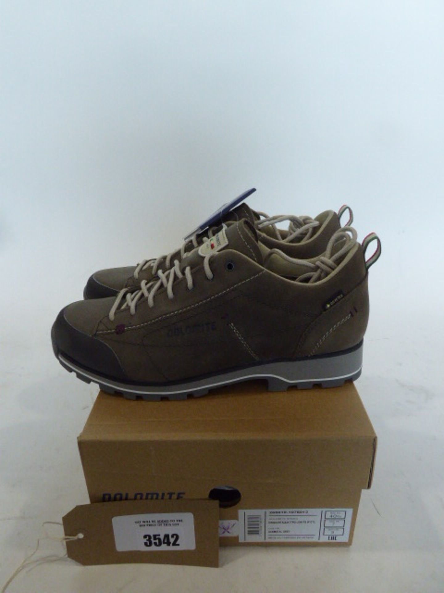 Dolomite 54 Low FG Goretex walking shoes size 7