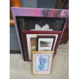 Quantity of modern botanical wall hangings, photogaphic prints, still life with flowers, and