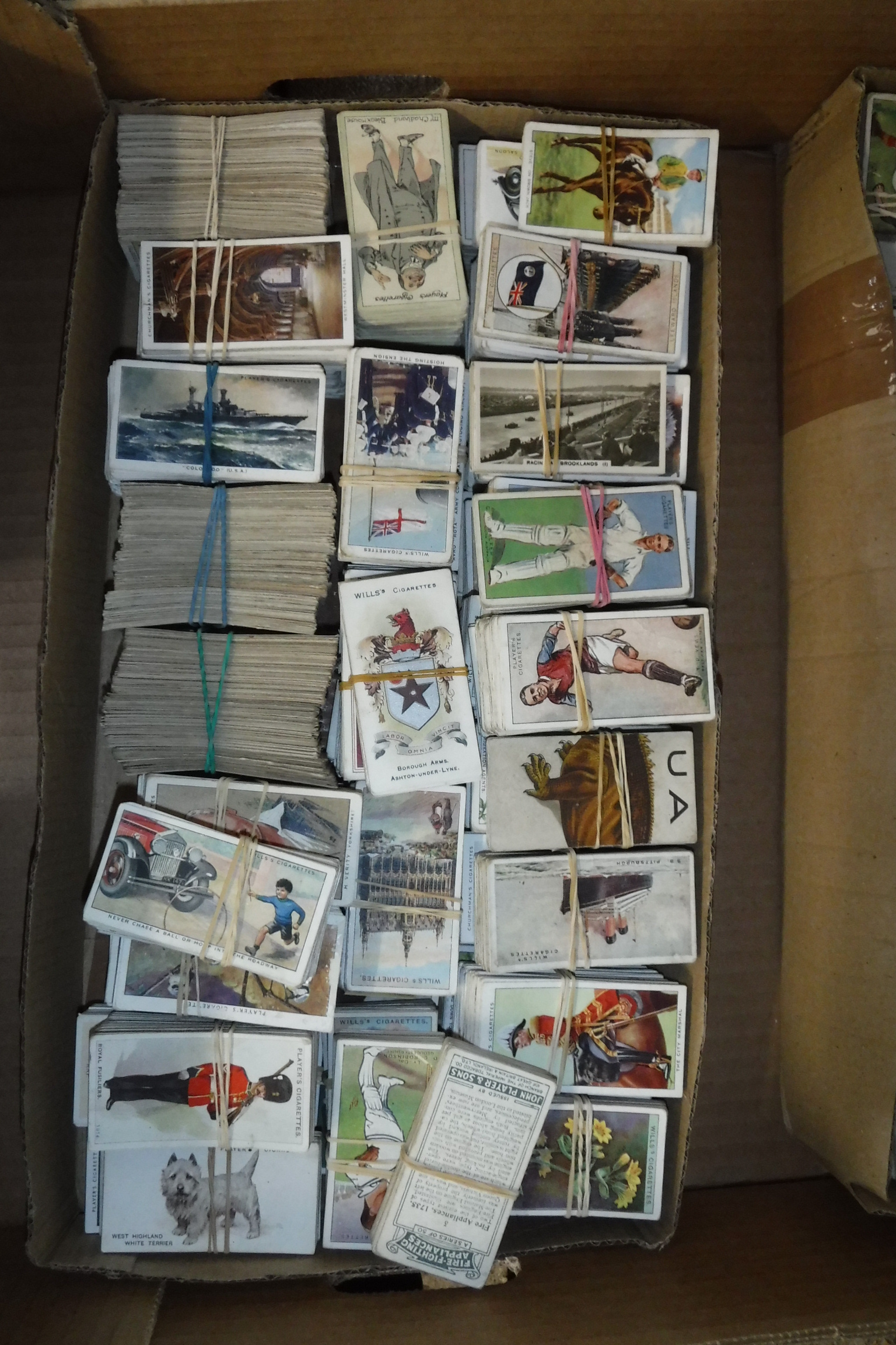 Box containing various themed cigarette cards incl. animals, trains, flowers, etc. - Image 4 of 4