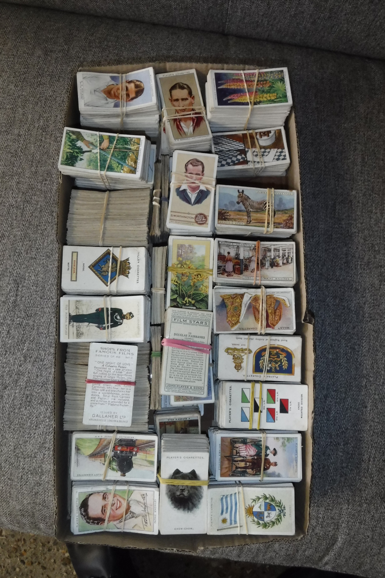 Box containing various themed cigarette cards incl. animals, trains, flowers, etc. - Image 2 of 4