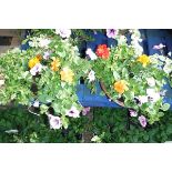 2 wicker hanging baskets of mixed plants